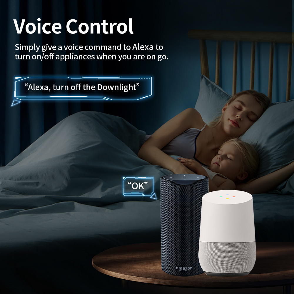 TNCE Tuya EU Plug WiFi or Zigb - Smart Home Or Smart Home recension och pris