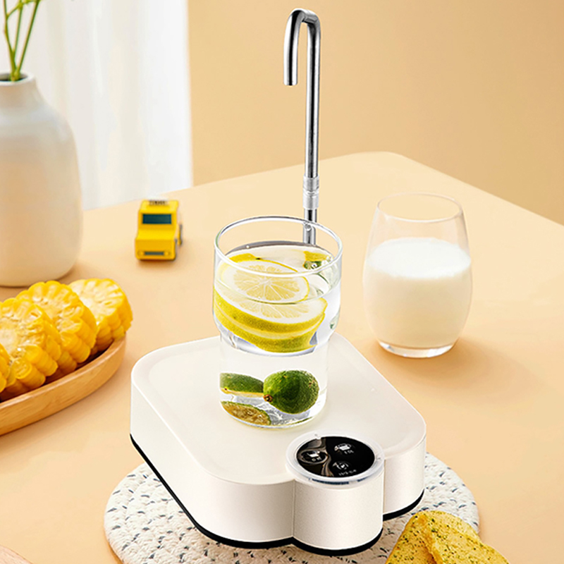 Smart Electric Water Pump Rech - Smart Home Yam Pounder recension och pris
