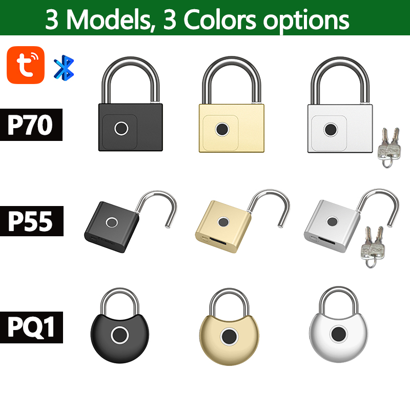 RAYKUBE Tuya Smart Padlock Fin - Smart Home Lock recension och pris