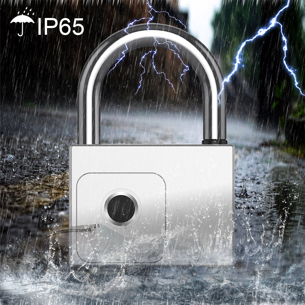 RAYKUBE Tuya Smart Padlock Fin - Smart Home Lock recension och pris
