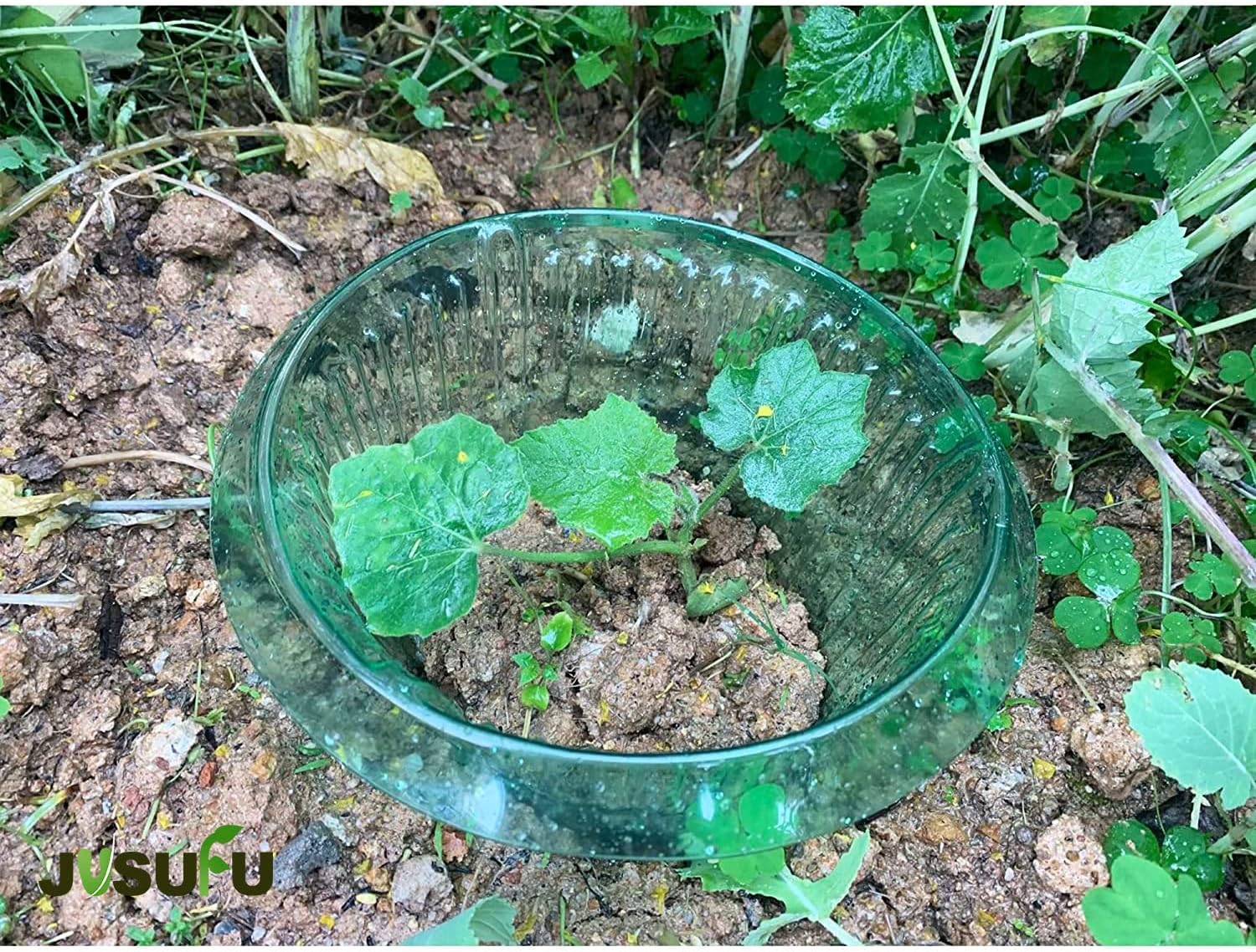 1/30pcs Plants Slug Protection - Smart Home Green recension och pris