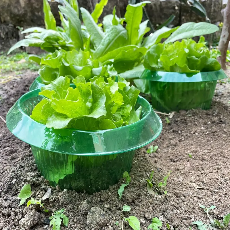 Plants Slug Protection Rings V - Smart Home Green recension och pris