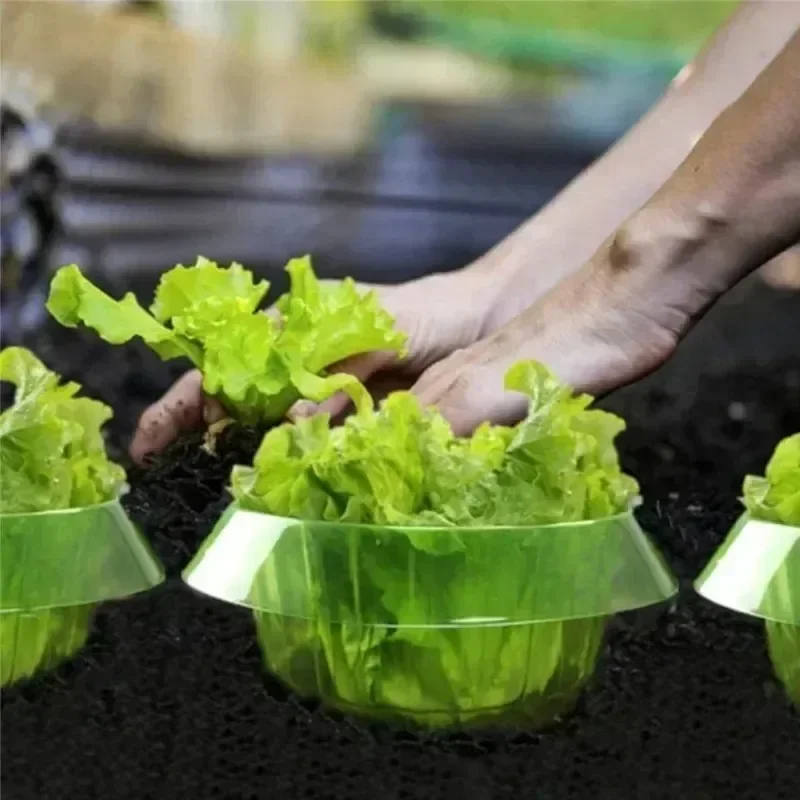 Plants Slug Protection Rings V - Smart Home Green recension och pris