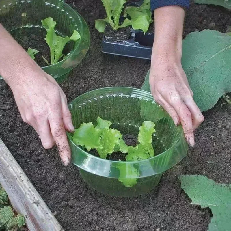 Plants Slug Protection Rings V - Smart Home Green recension och pris