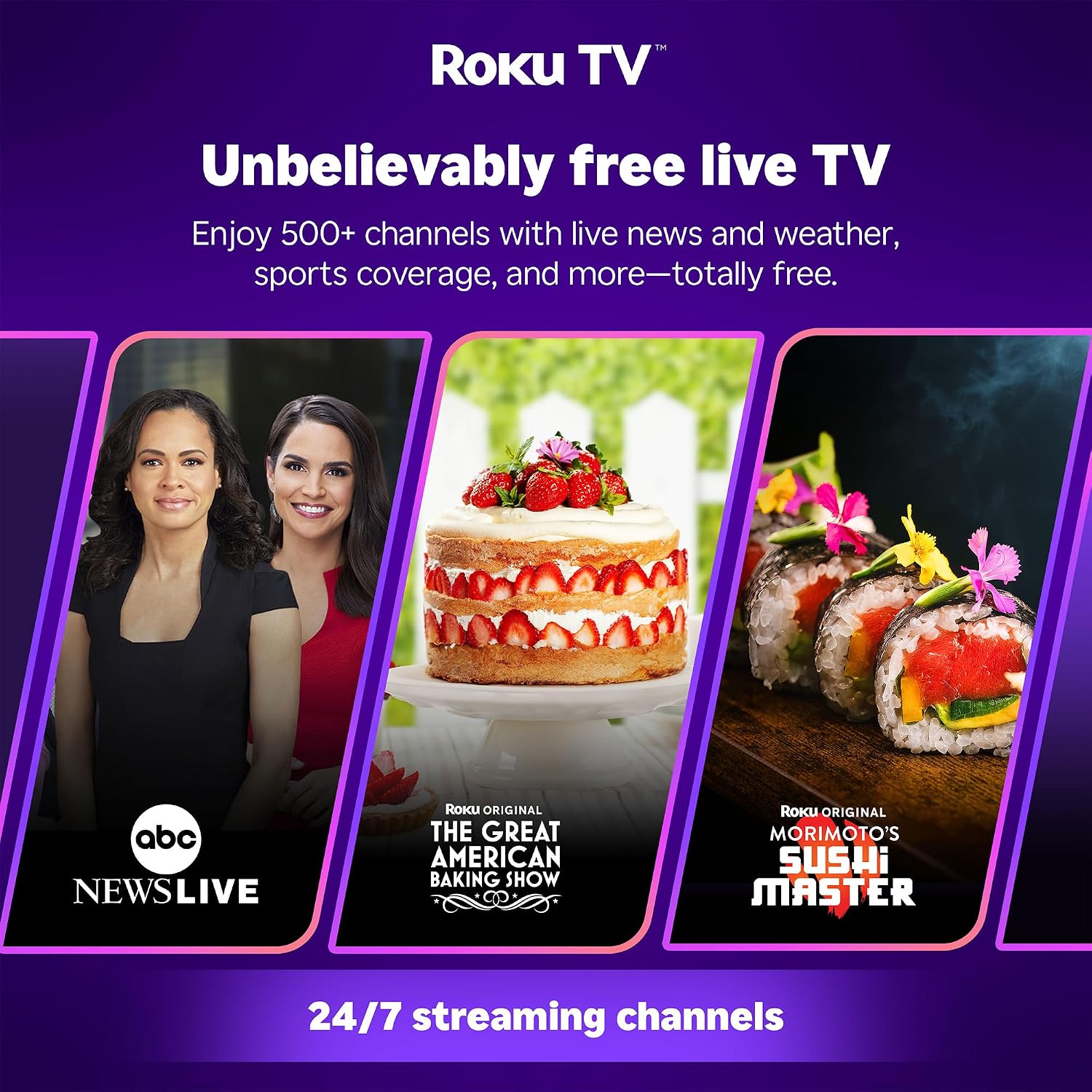 Portable Roku TV Smart Project - Smart Home Roku recension och pris